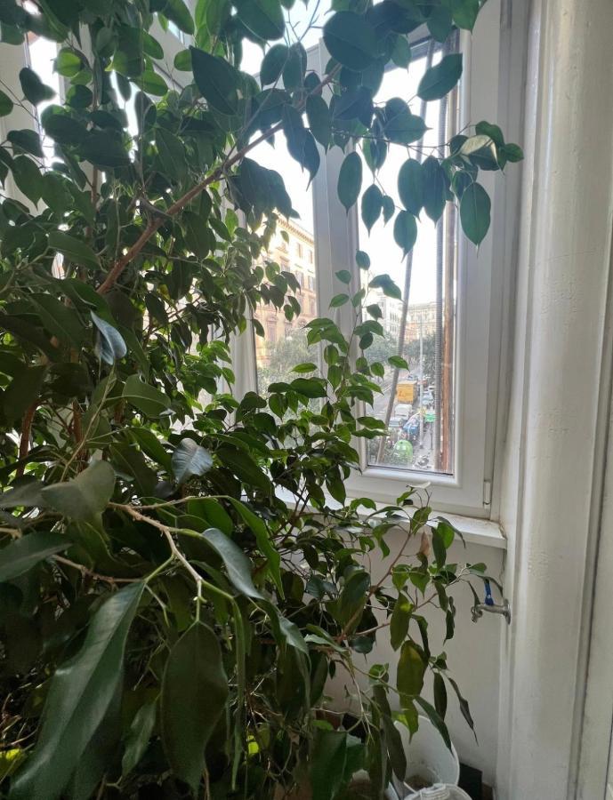 Cicerone Apartment Roma Dış mekan fotoğraf